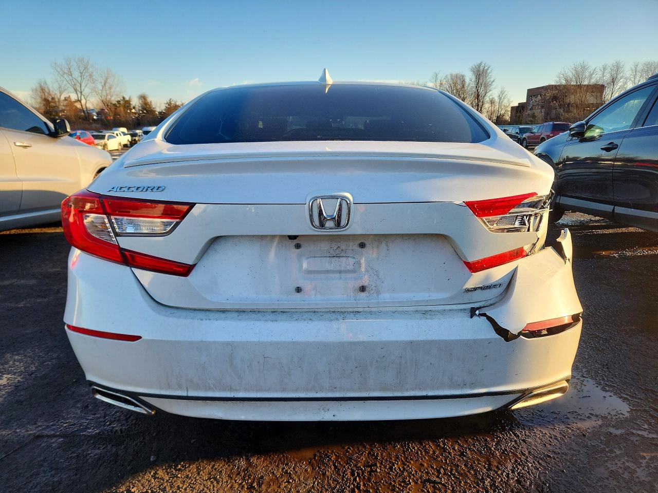 Honda Accord Sport