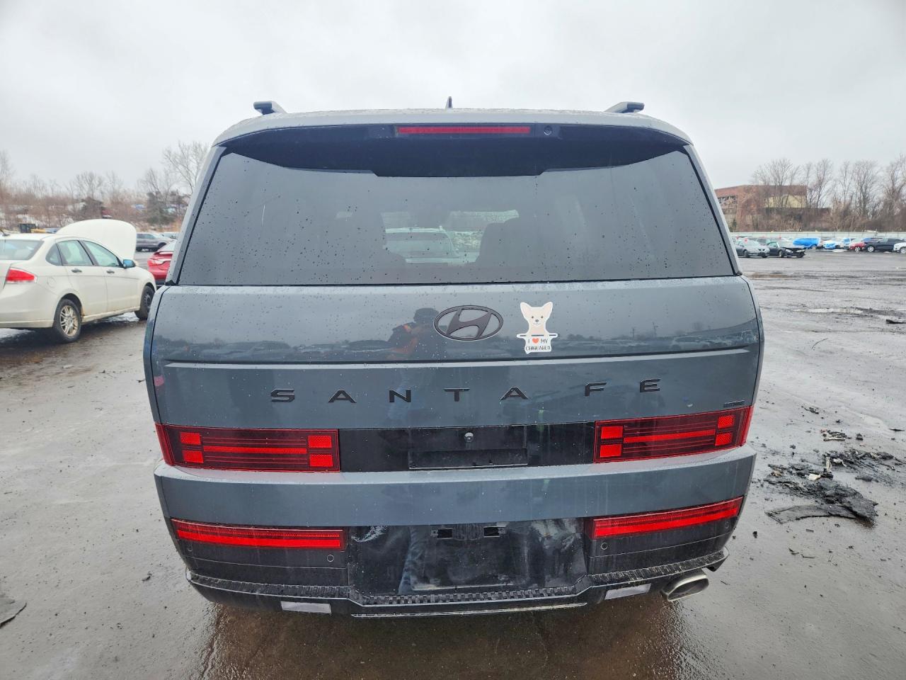 Hyundai SANTA FE Calligraphy