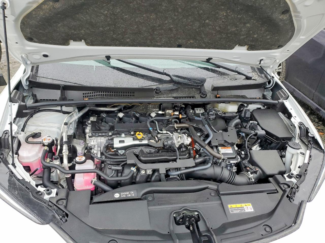 Toyota Prius Xle
