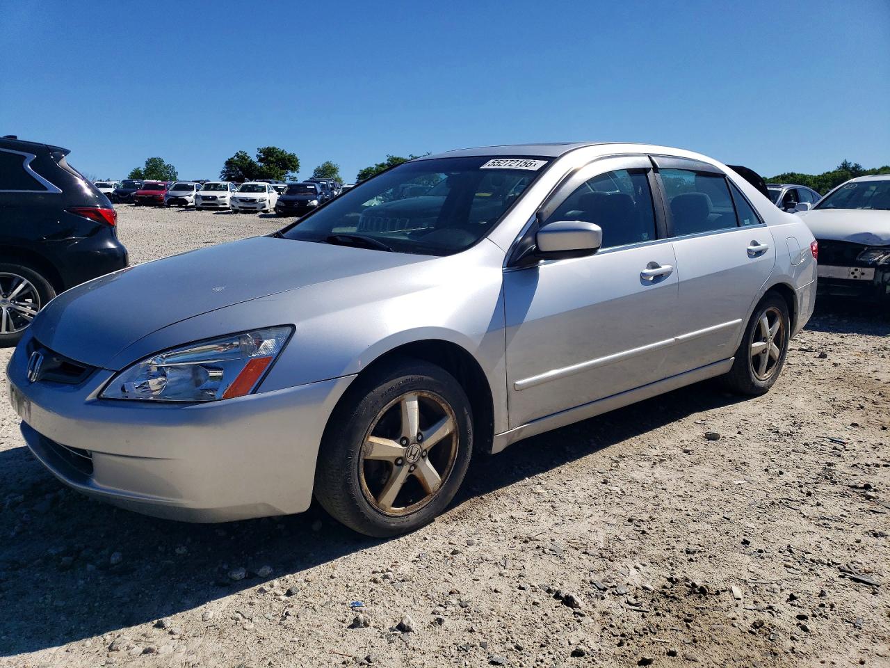 Salvage Honda Accord Image