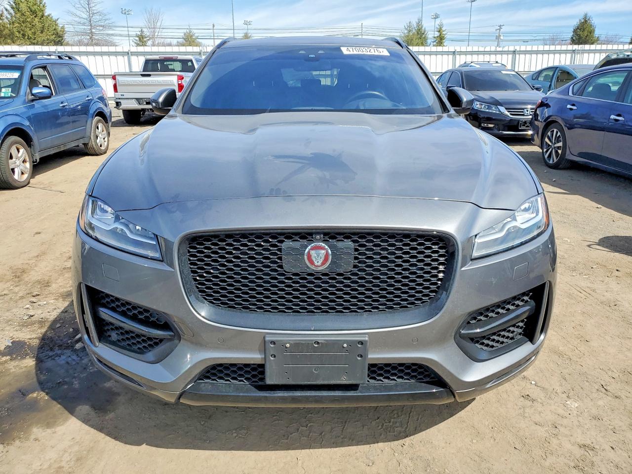 Jaguar F-PACE R - Sport