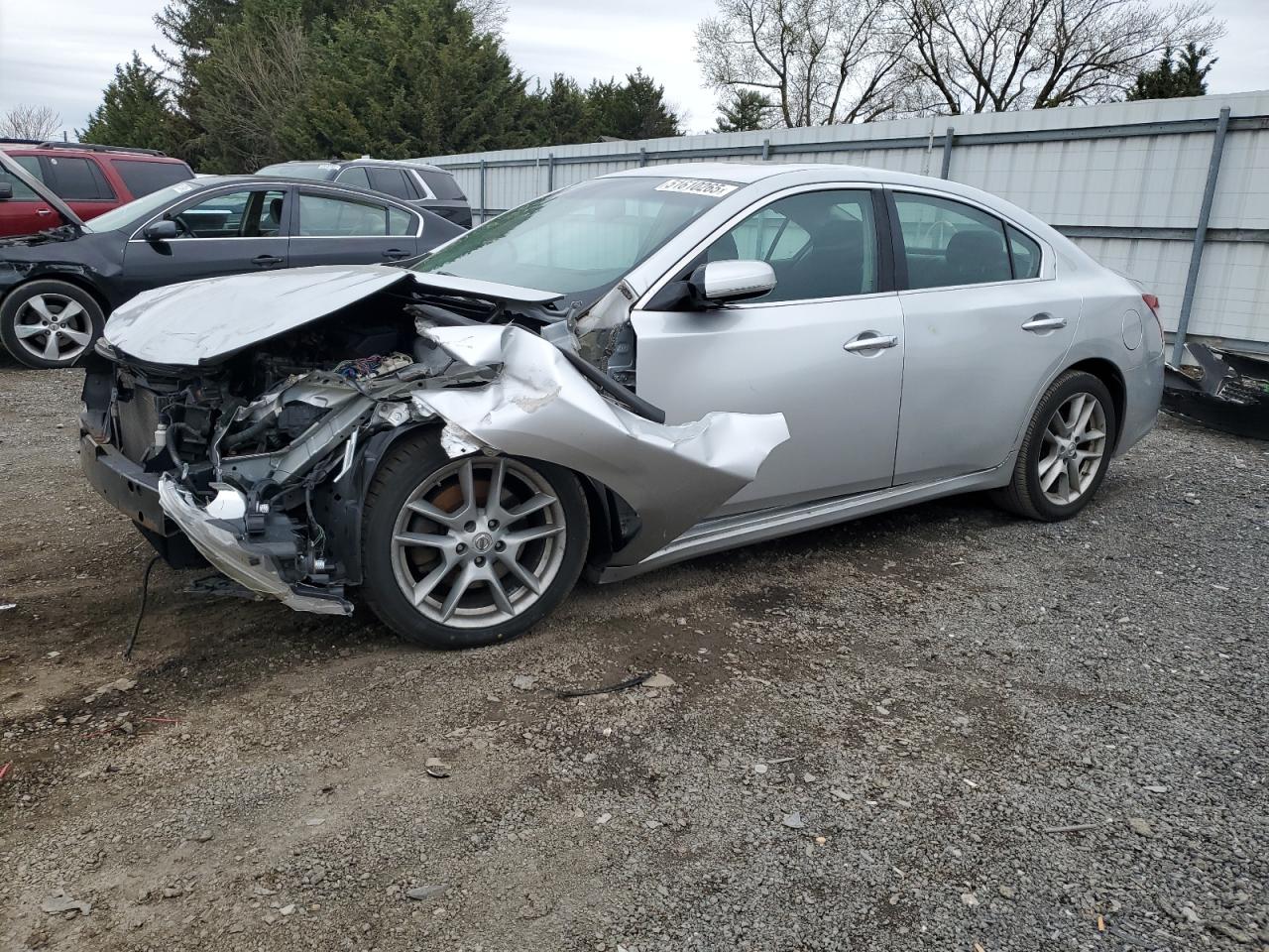 Salvage Nissan Maxima Image