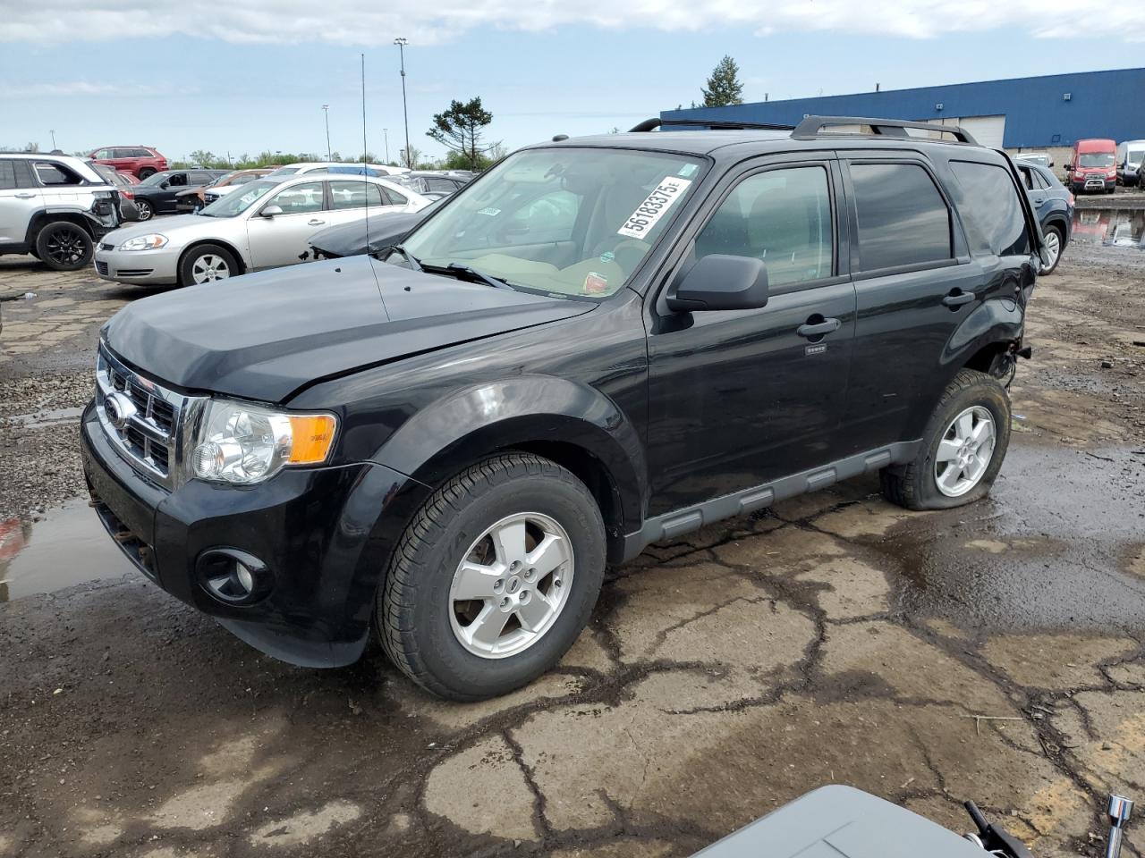 Salvage Ford Escape Image
