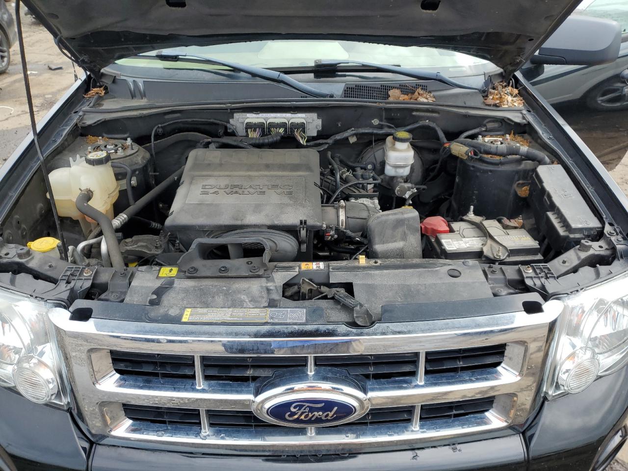 Ford Escape Xlt