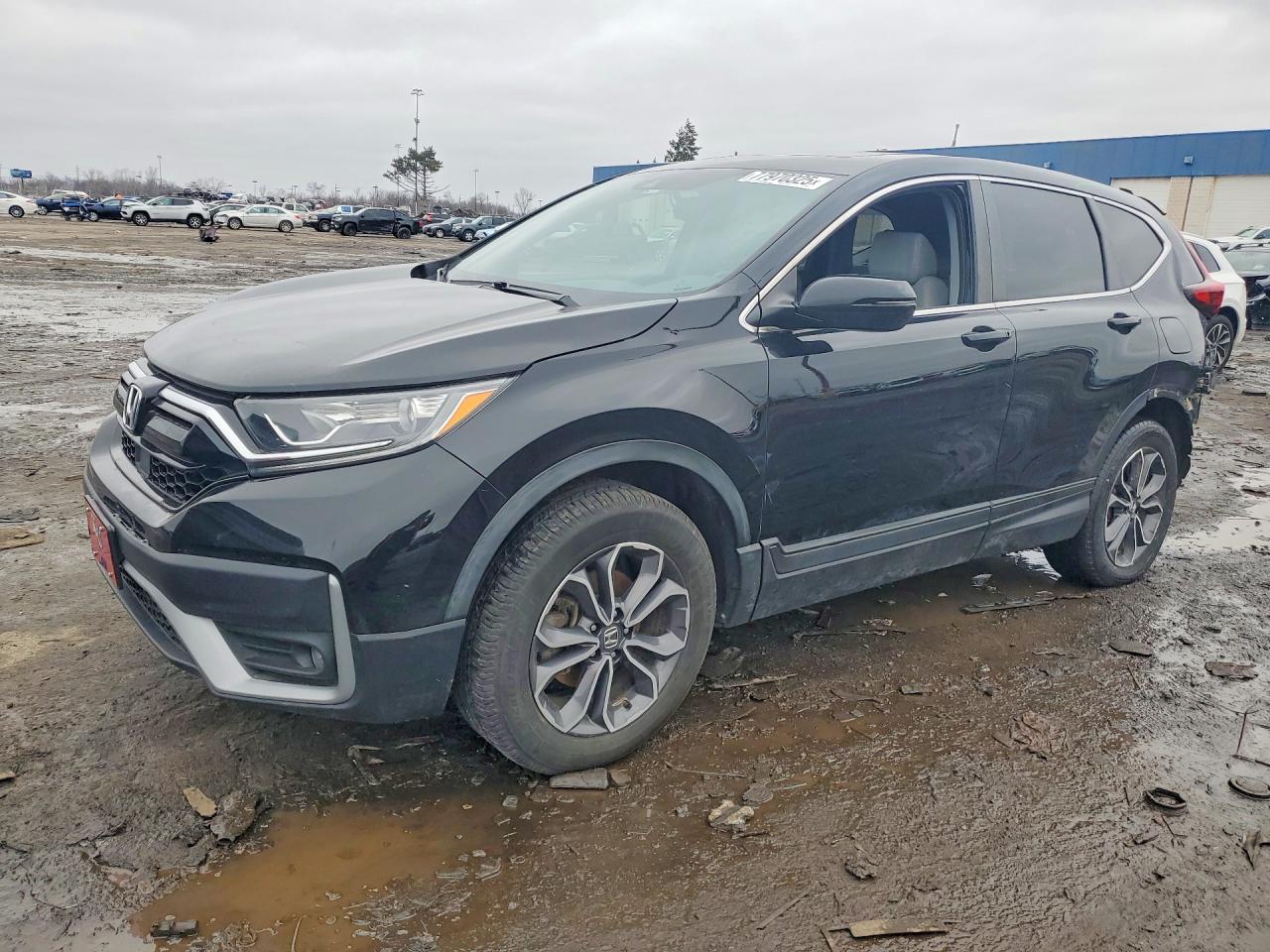 Salvage Honda Crv Image