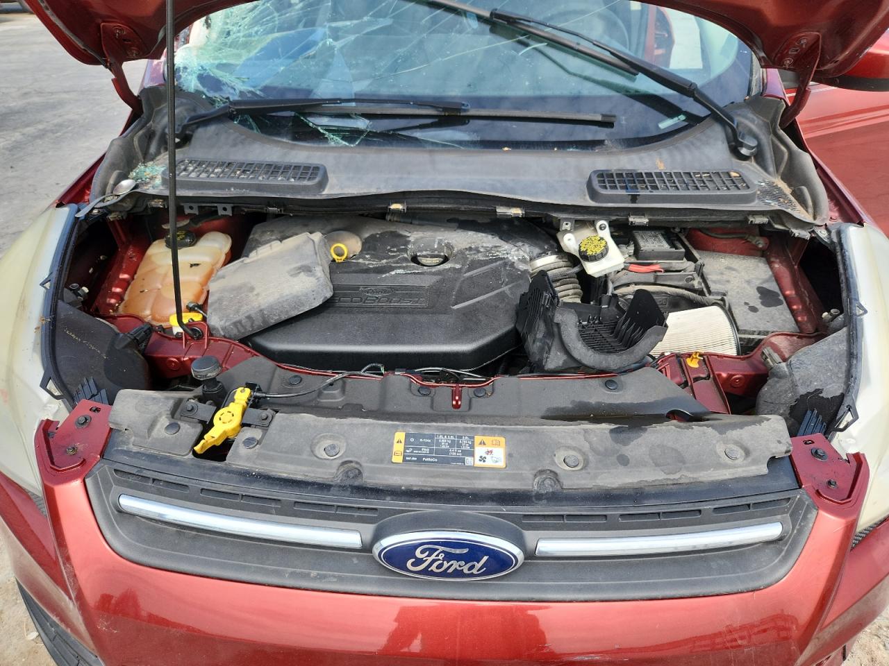 Ford Escape Se