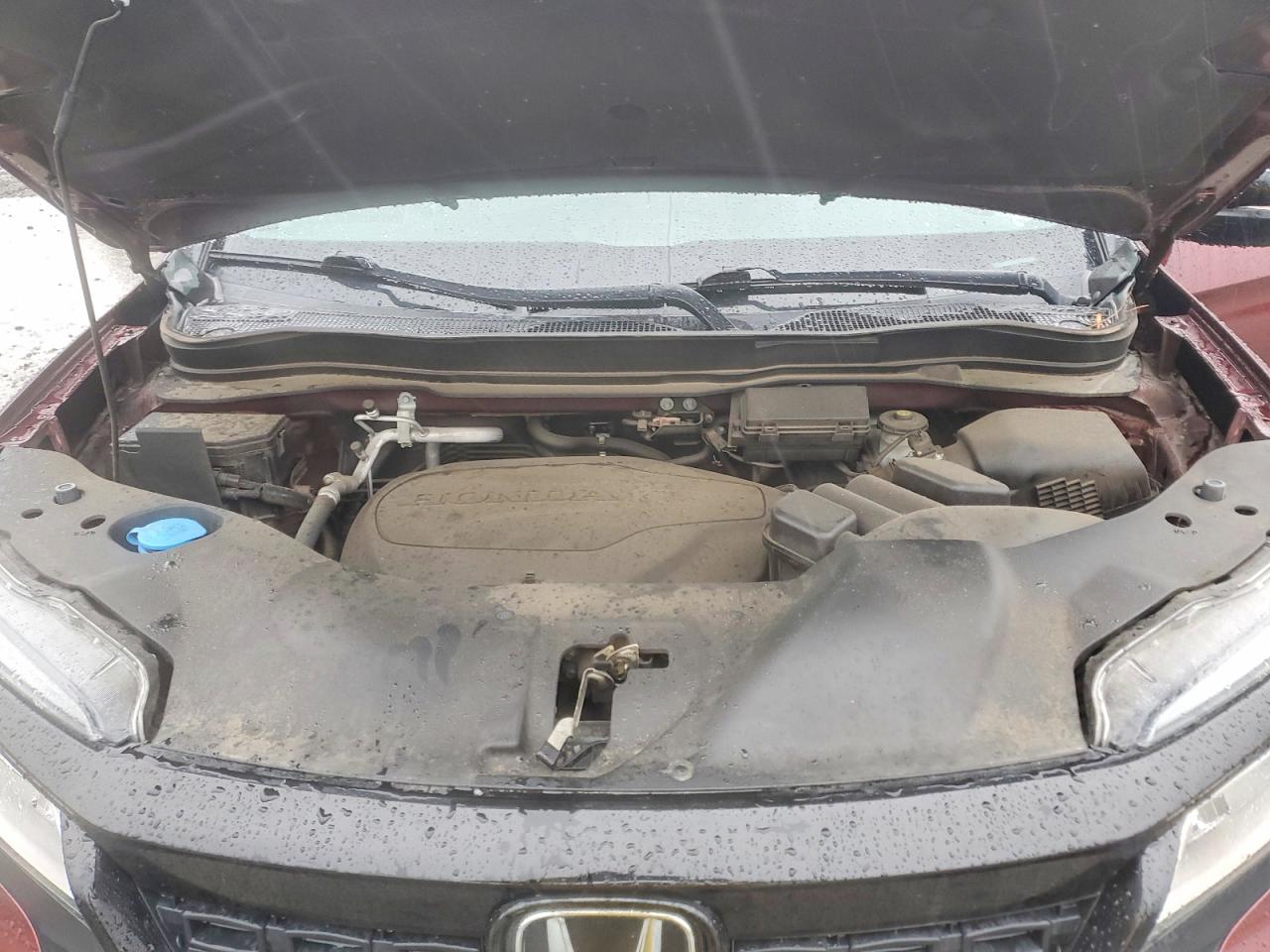 Honda Passport