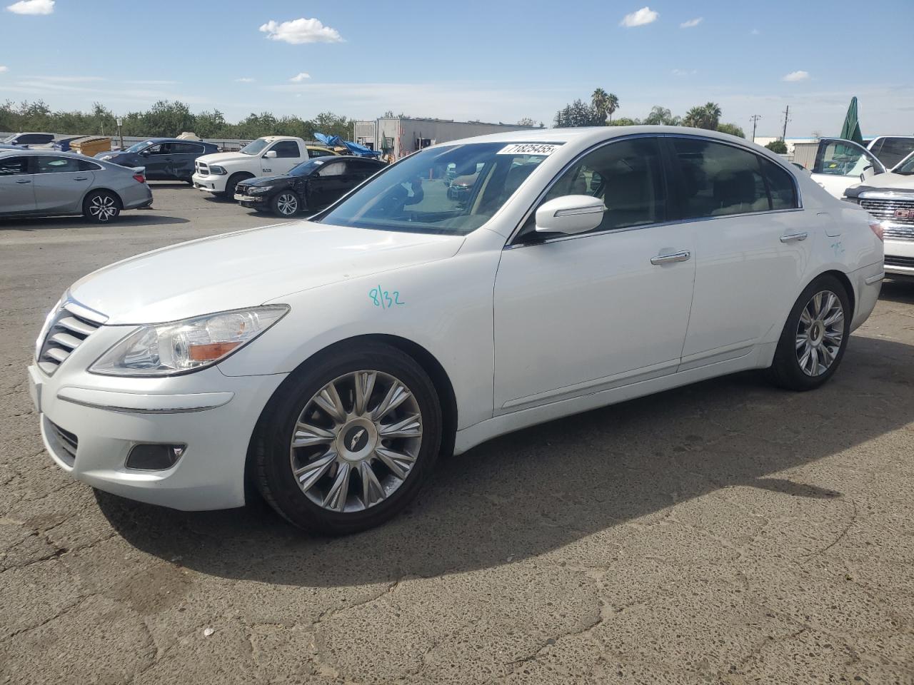 Salvage Hyundai Genesis Image