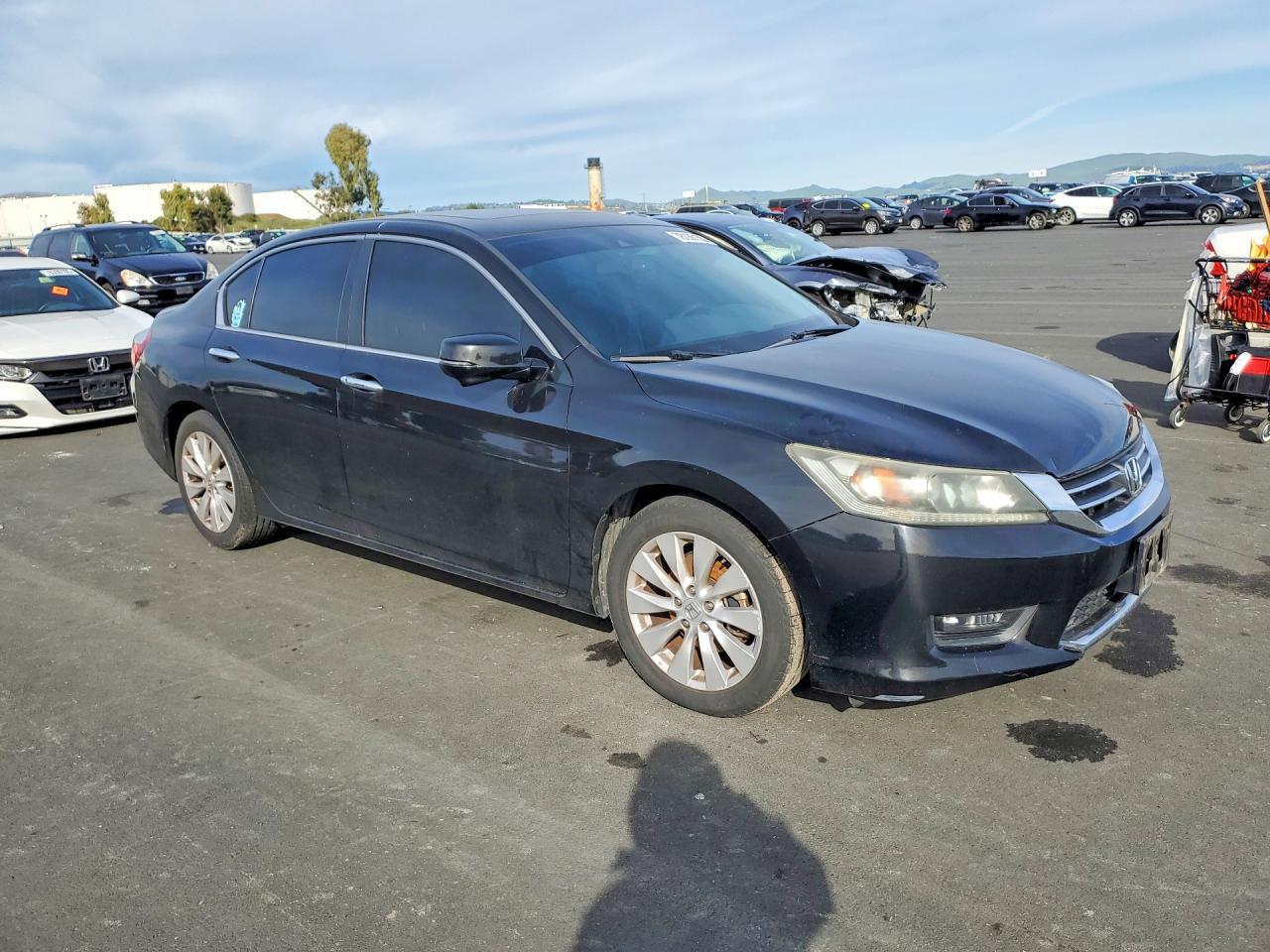 Honda Accord Exl