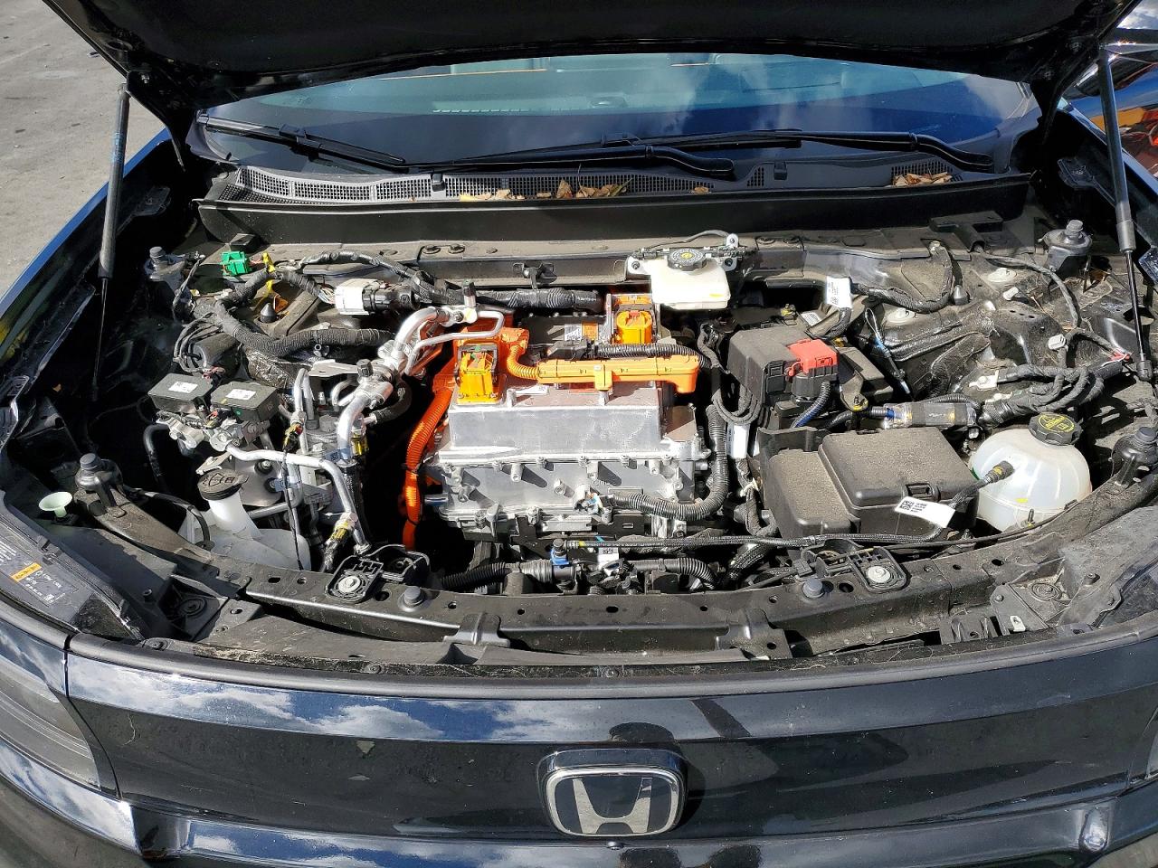 Honda Prologue Elite