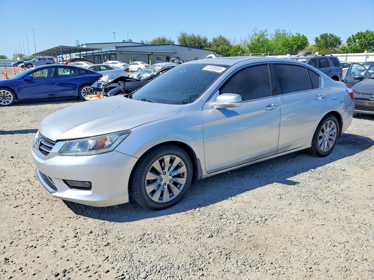 Salvage Honda Accord Image