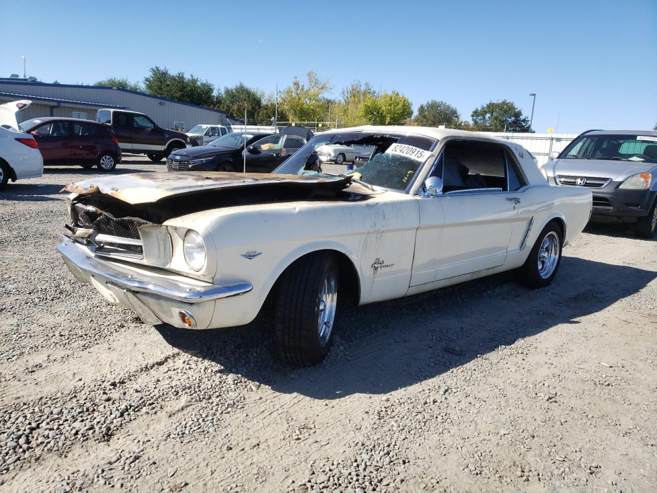 Salvage Ford Mustang Image