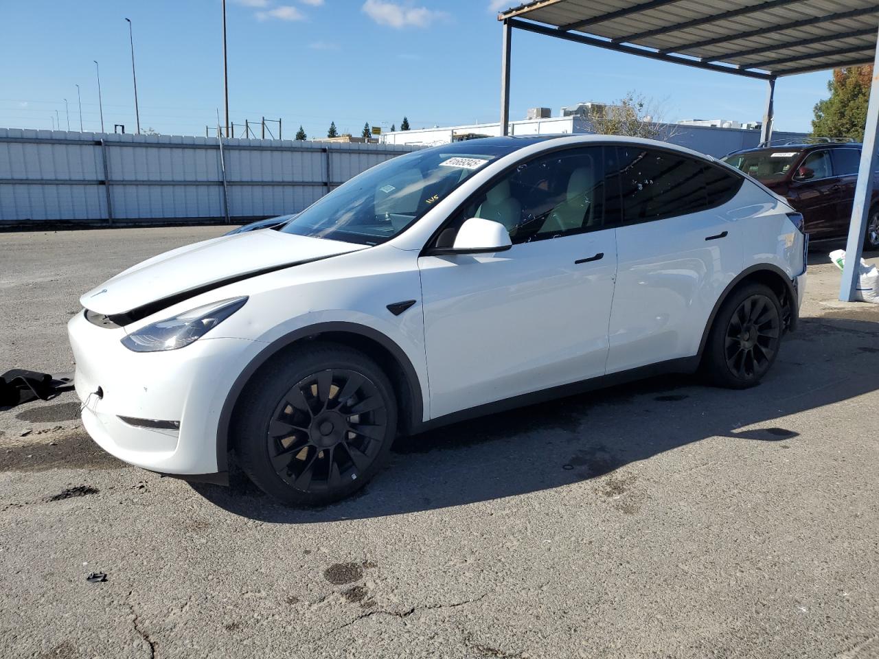 Salvage Tesla Model Y Image