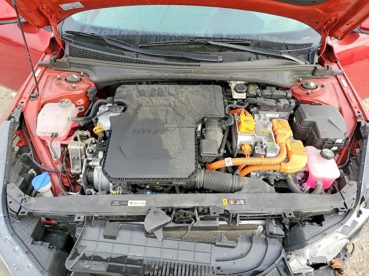 Hyundai ELANTRA Blue