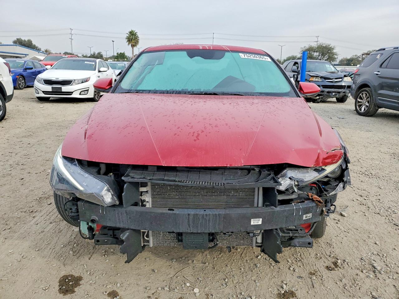 Hyundai ELANTRA Blue