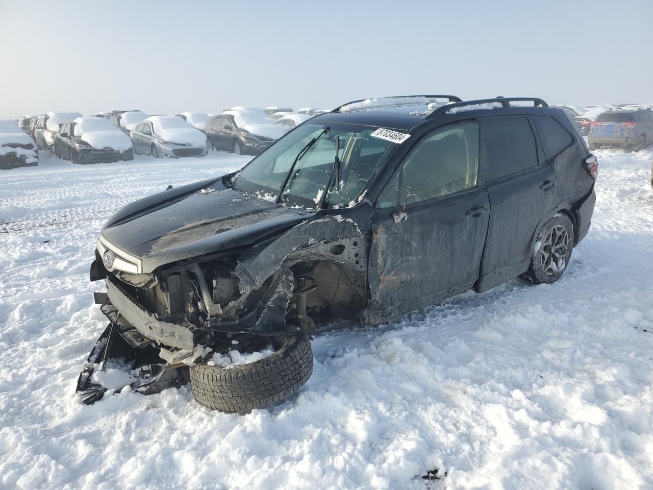 Salvage Subaru Forester Image