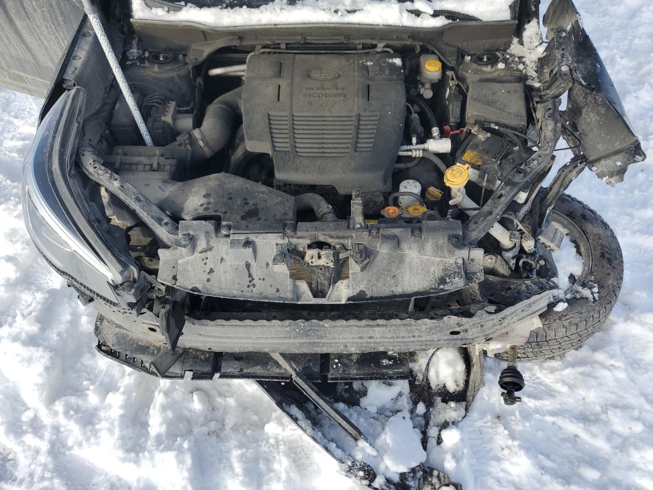 Subaru Forester Premium