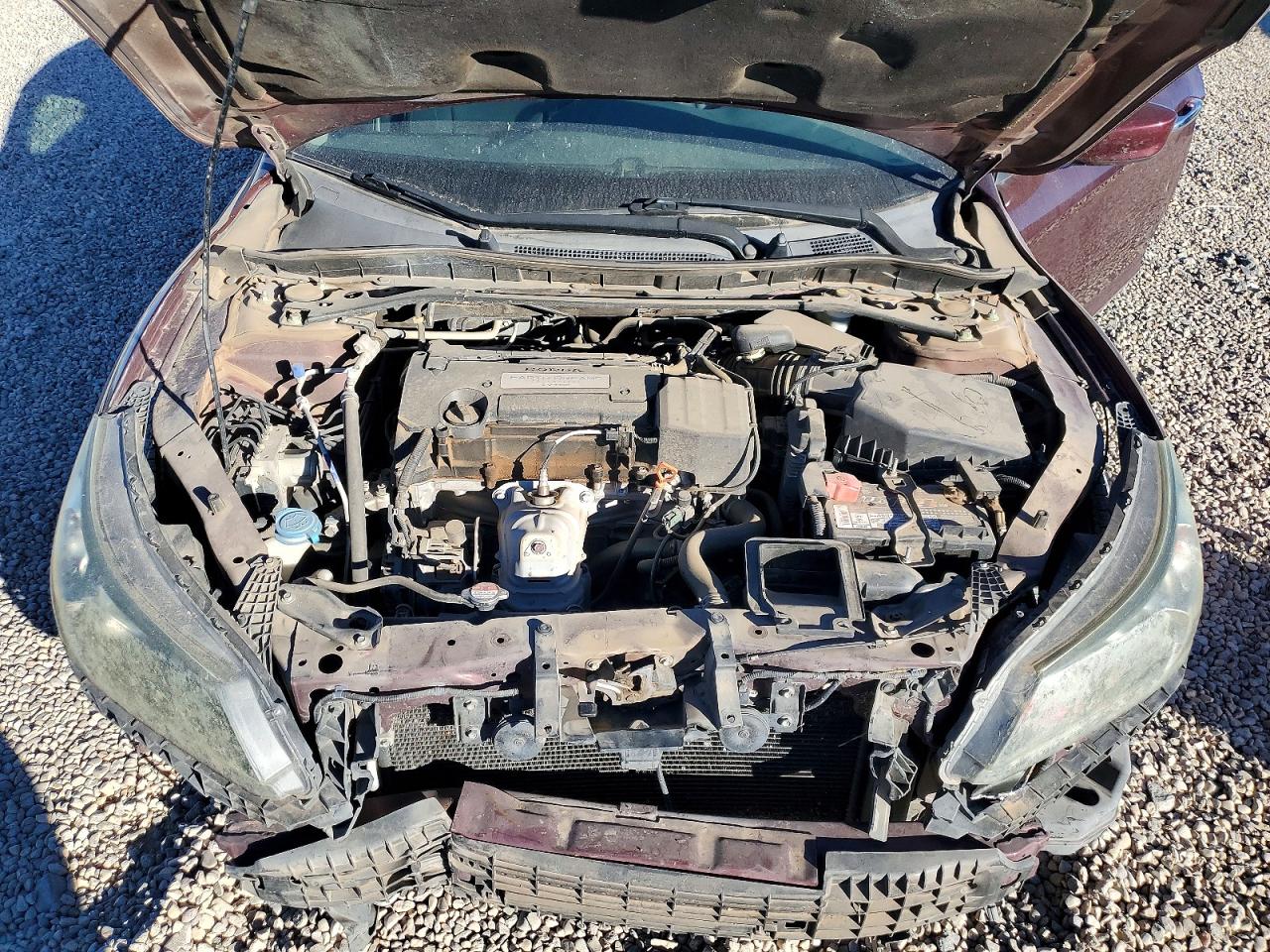 Honda Accord Sport