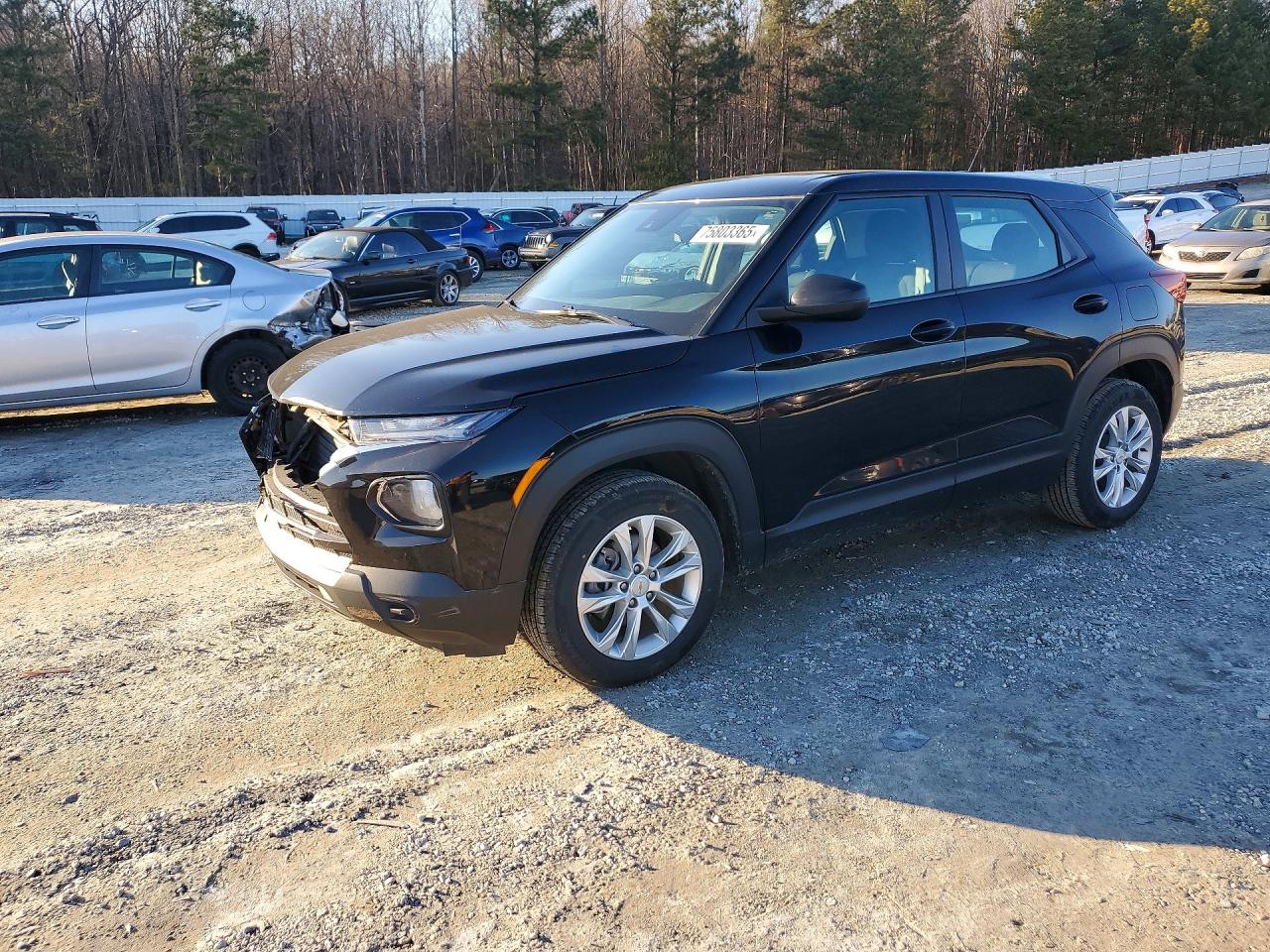 Salvage Chevrolet Trailblazer Image