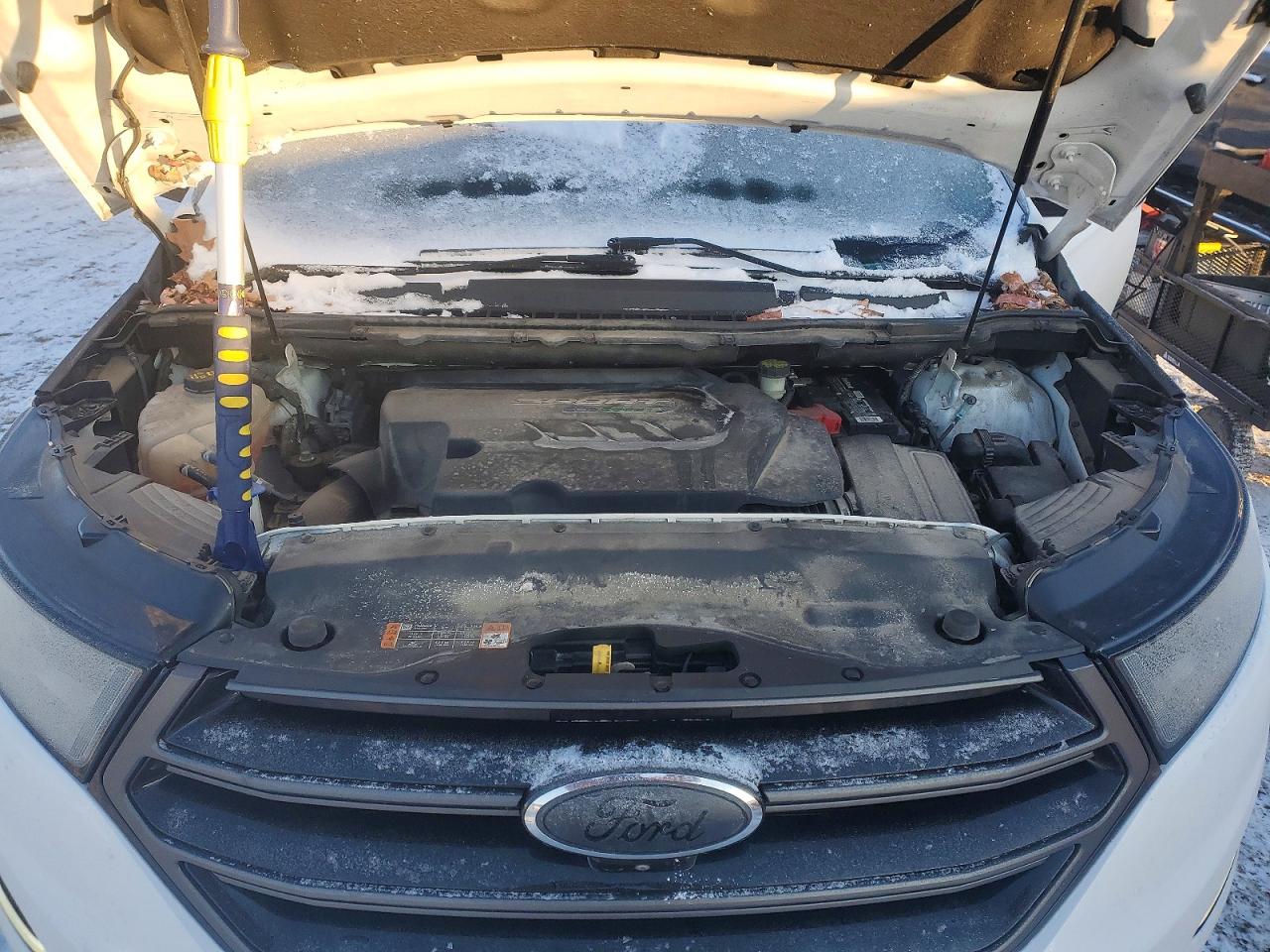 Ford Edge Sport