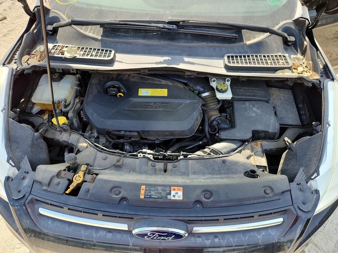 Ford Escape Se