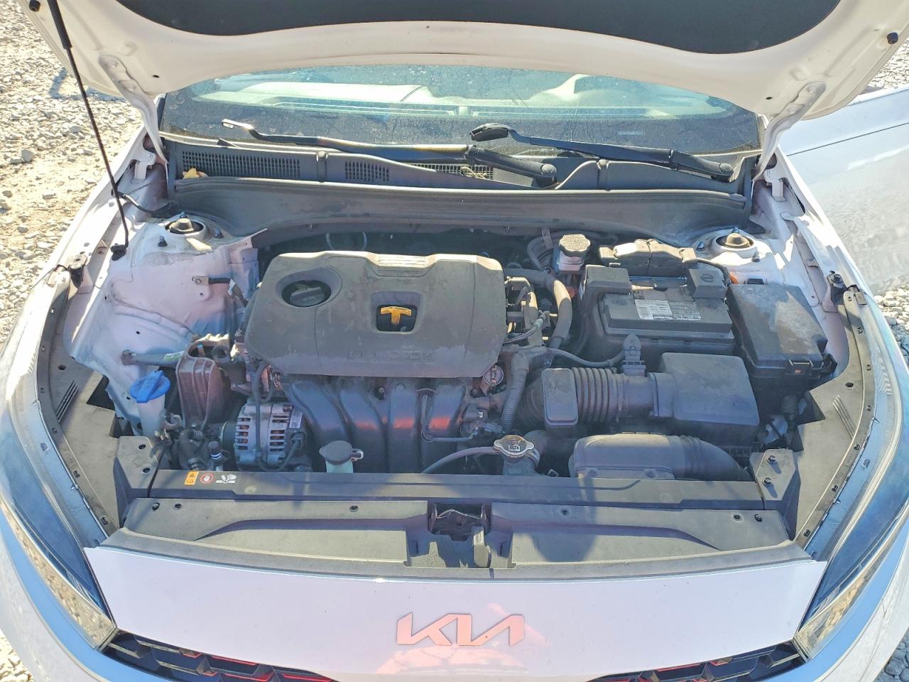 Kia Forte Gt Line