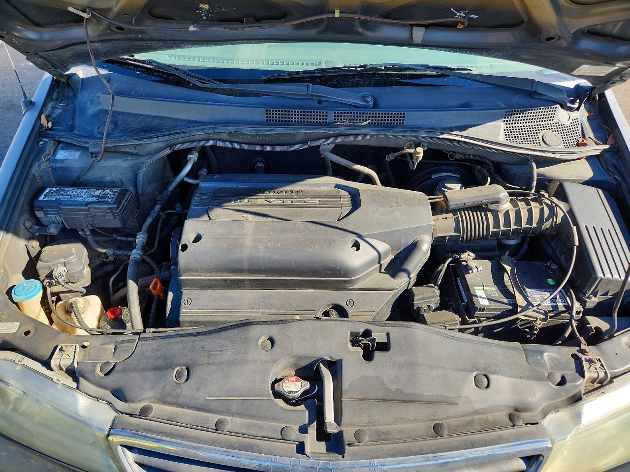 Honda Odyssey Exl