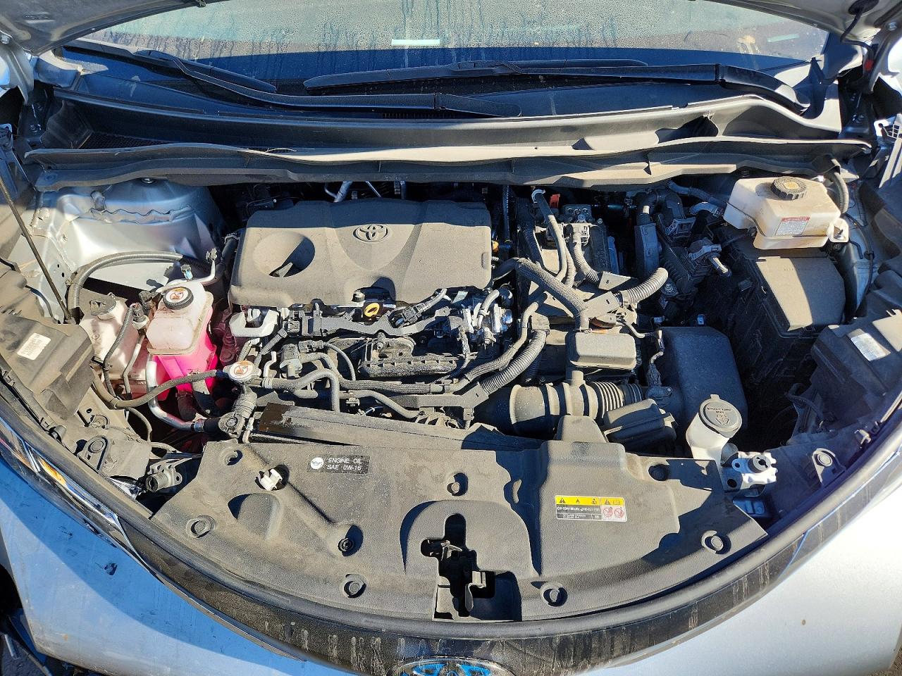 Toyota Sienna Xle 7-passenger