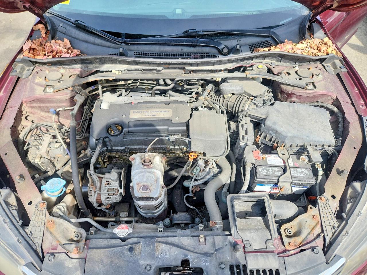 Honda Accord Sport