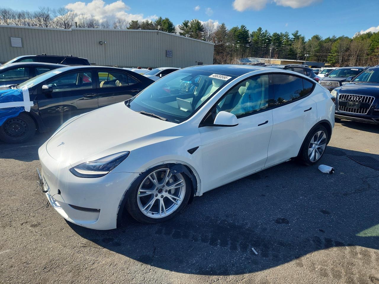 Salvage Tesla Model Y Image