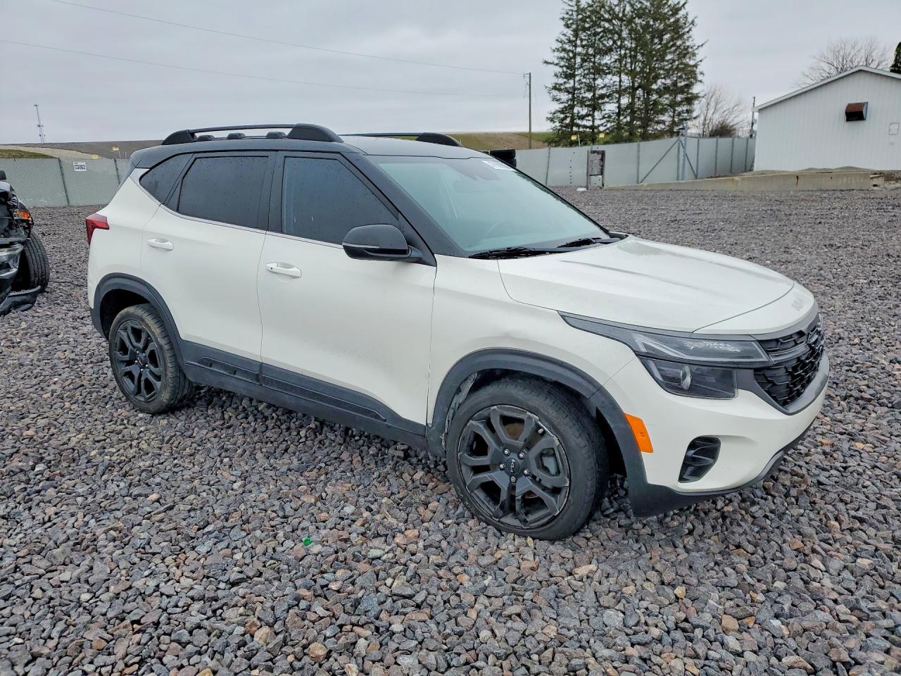 Kia Seltos X-line