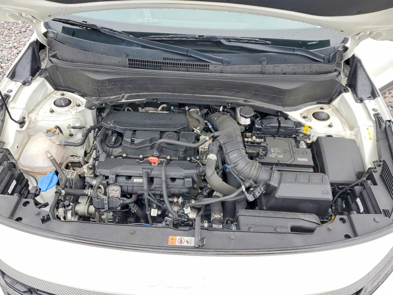 Kia Seltos X-line