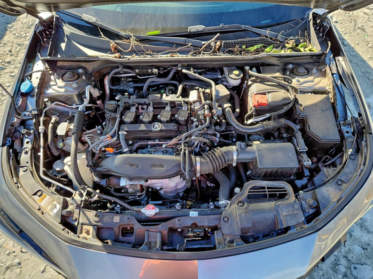 Acura Integra A A-spec