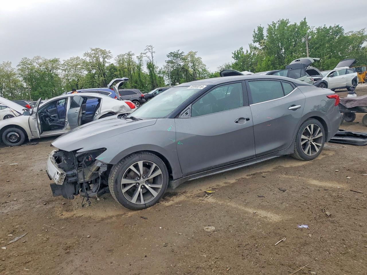 Salvage Nissan Maxima Image