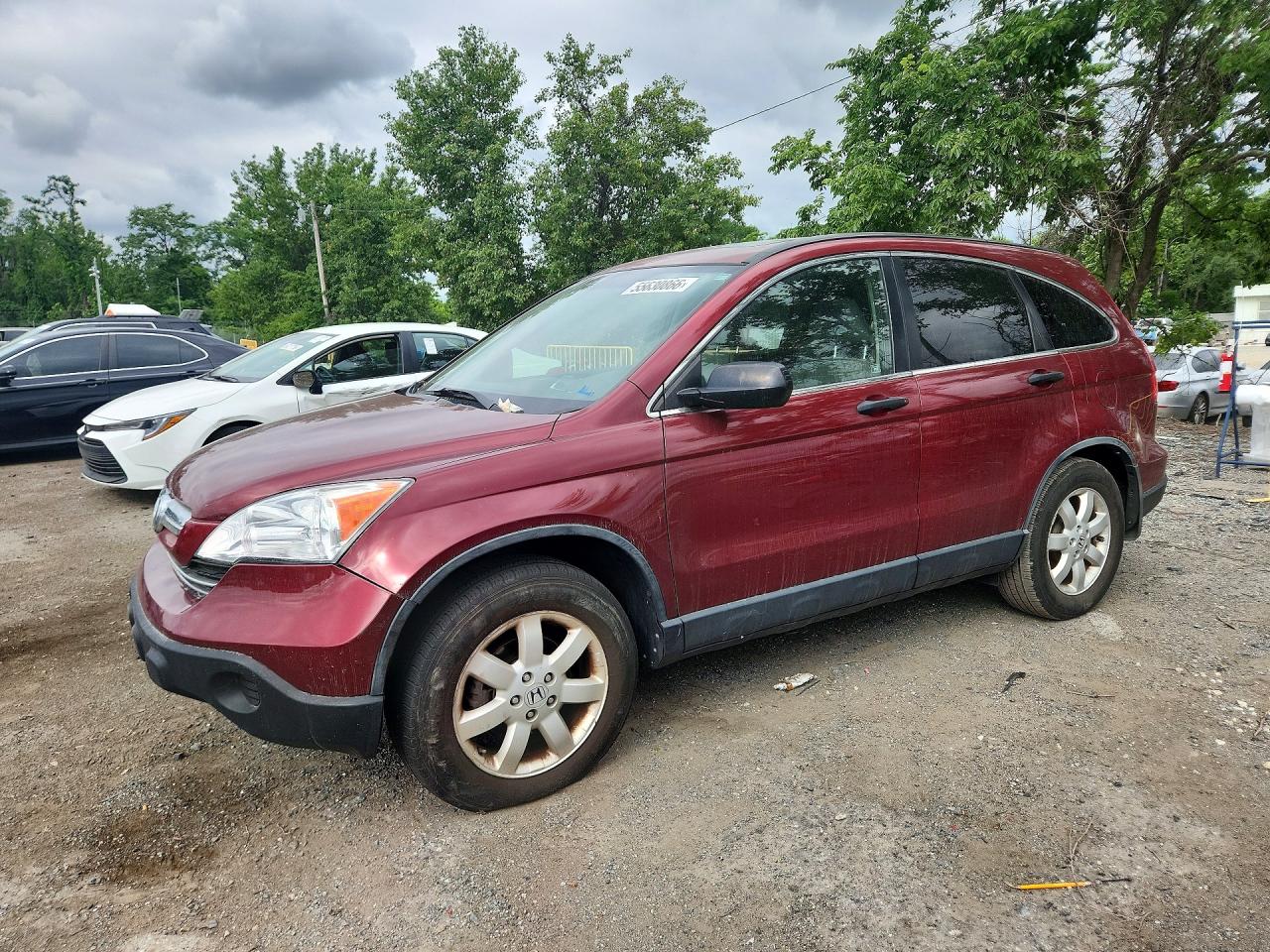 Salvage Honda Crv Image