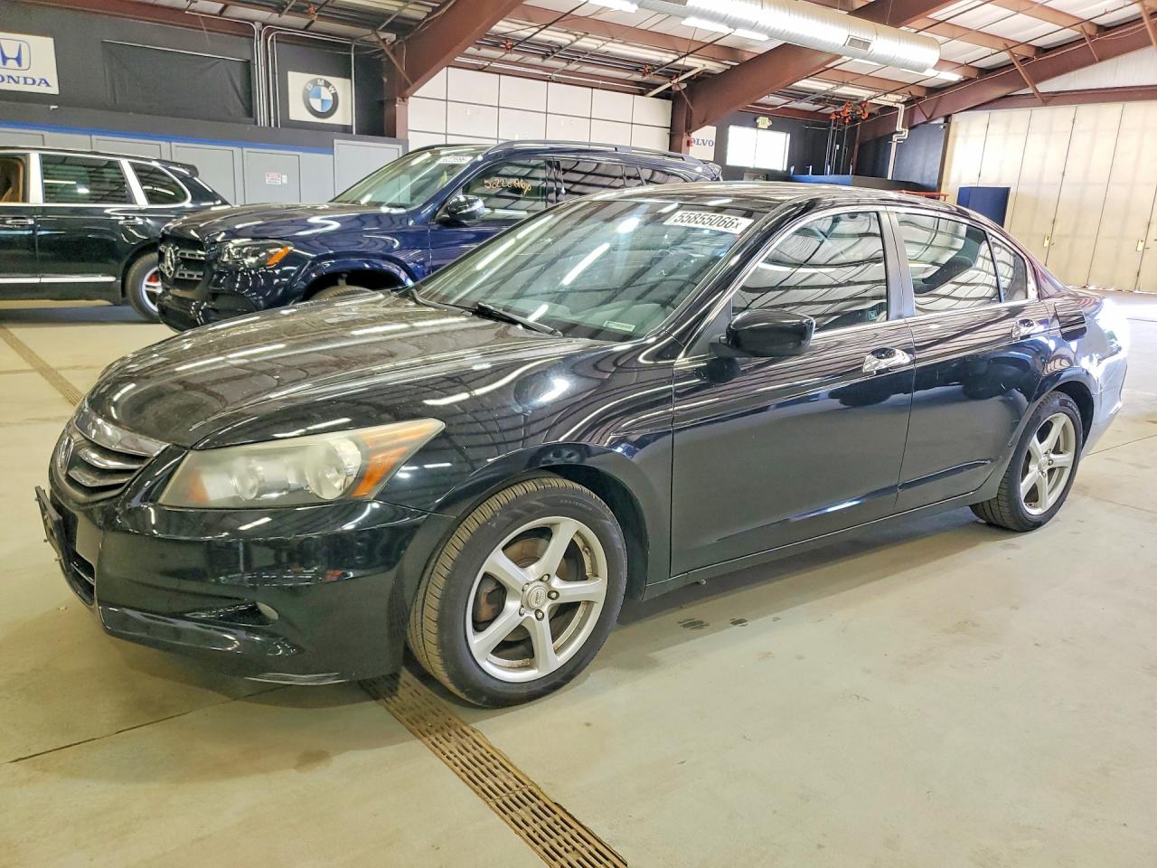 Salvage Honda Accord Image