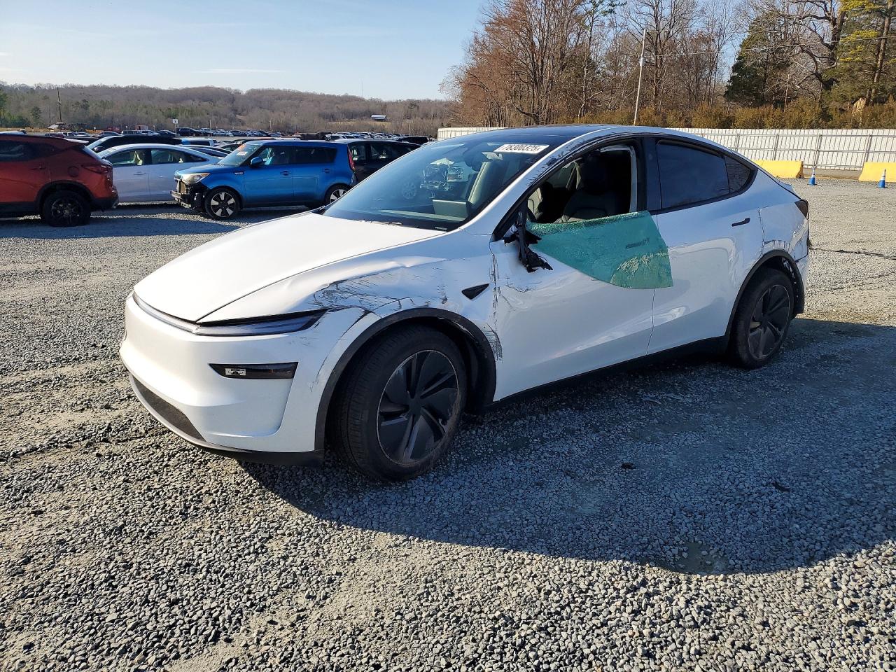 Salvage Tesla Model Y Image