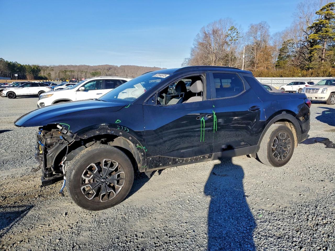Salvage Hyundai SANTA CRUZ Image