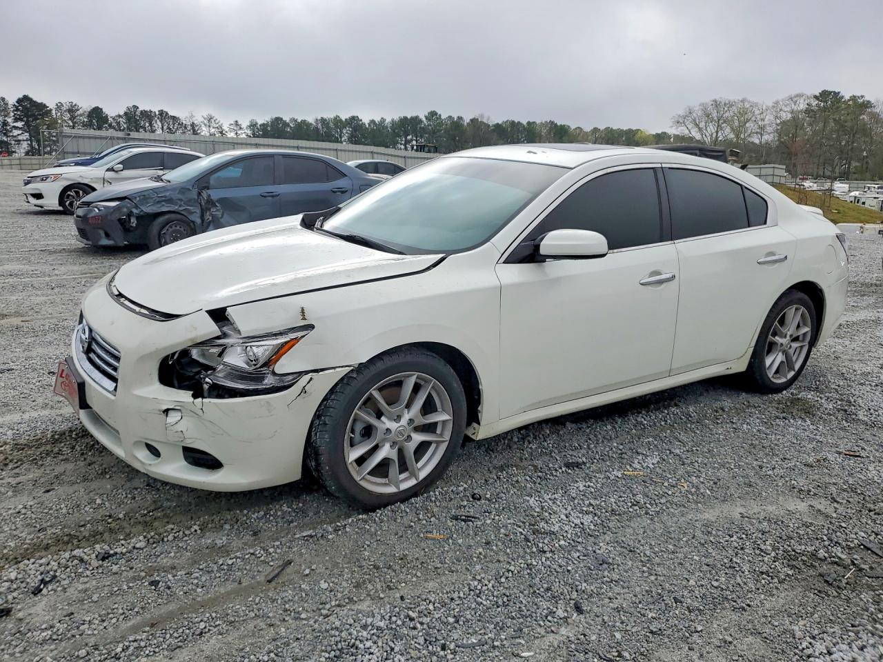 Salvage Nissan Maxima Image