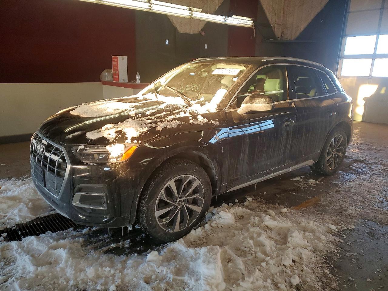 Salvage Audi Q5 Image