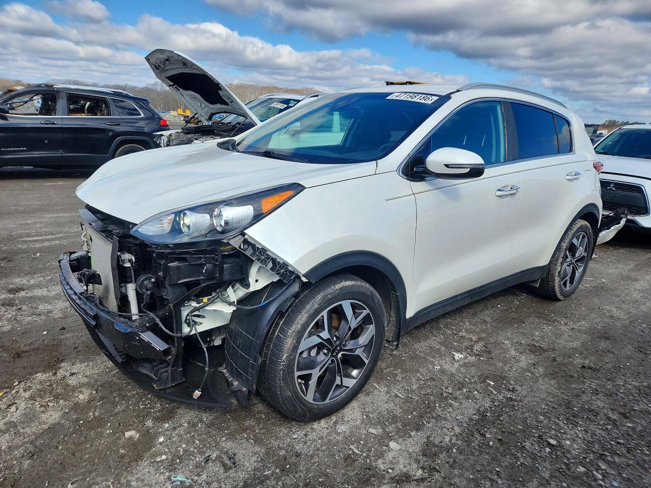 Salvage Kia Sportage Image