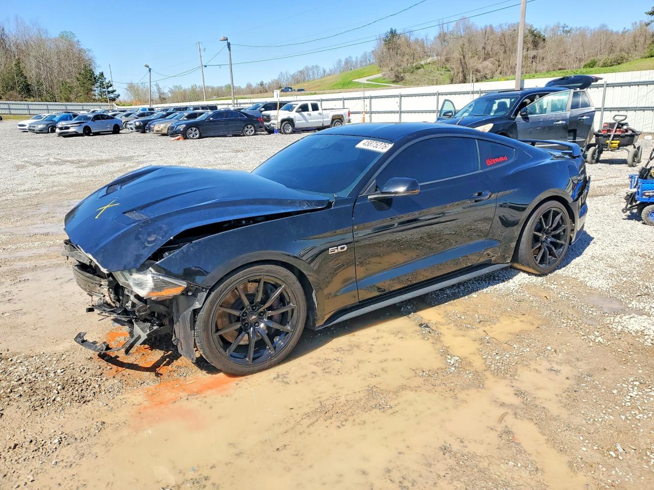 Salvage Ford Mustang Image