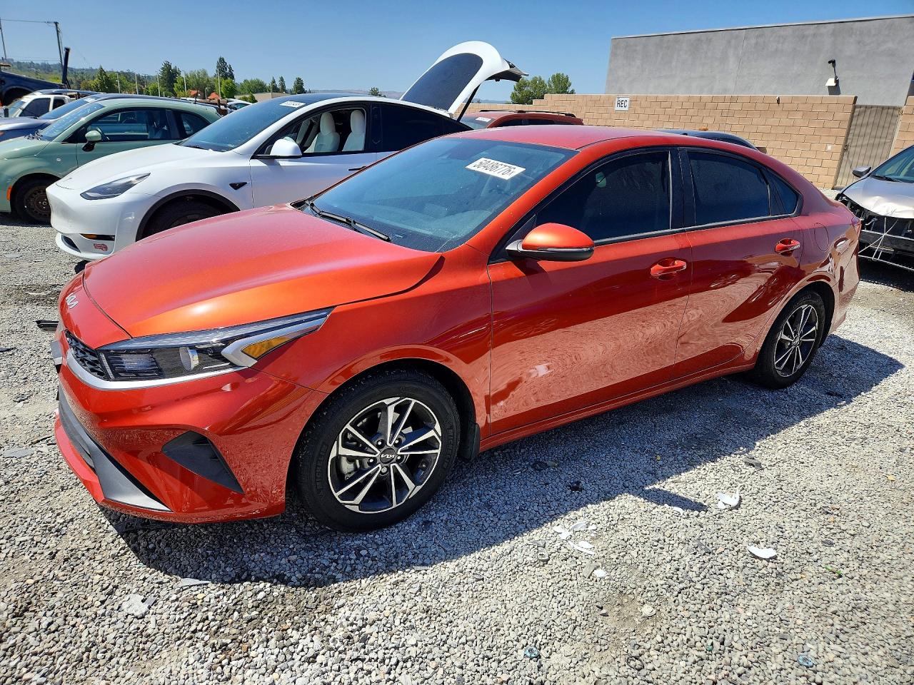 Salvage Kia Forte Image