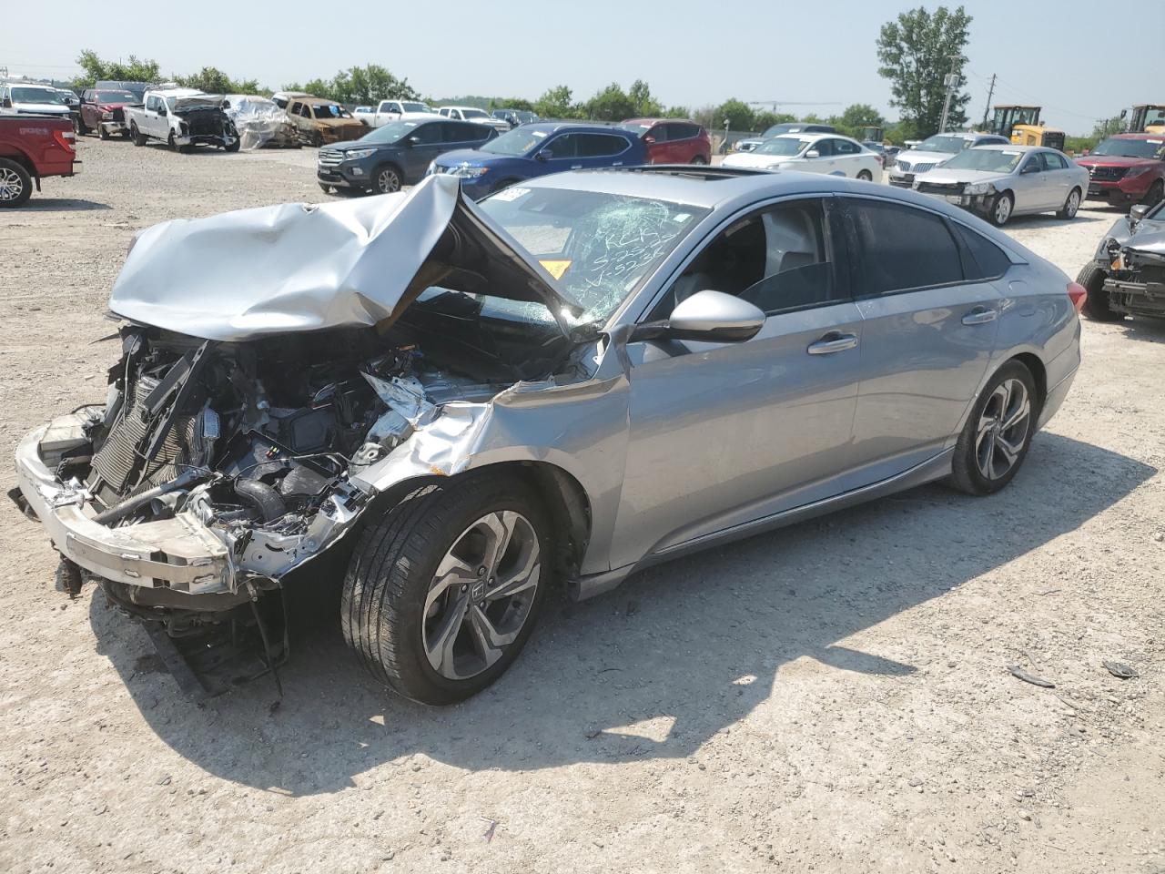 Salvage Honda Accord Image
