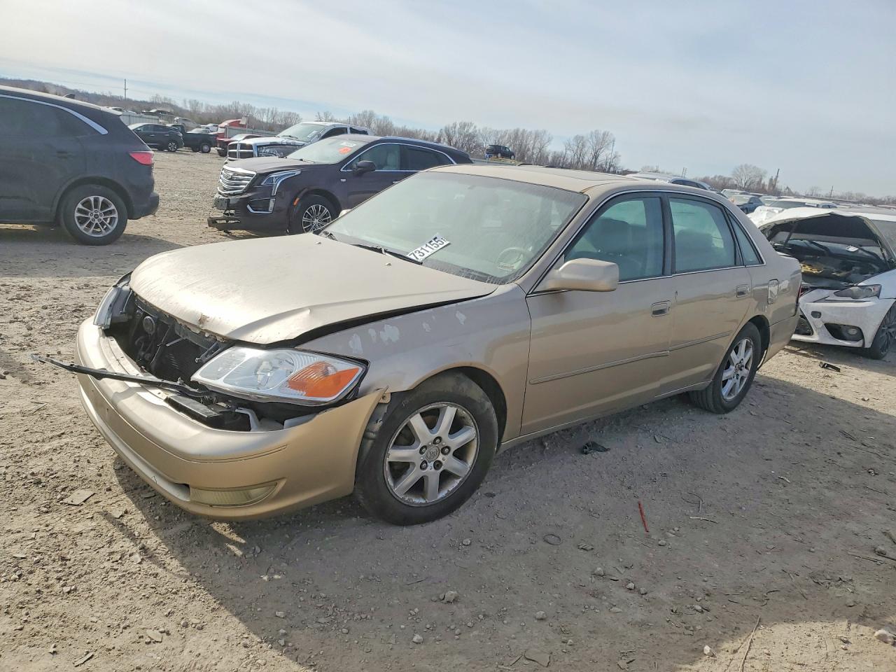 Salvage Toyota Avalon Image