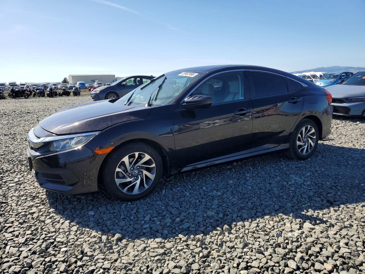 Salvage Honda Civic Image