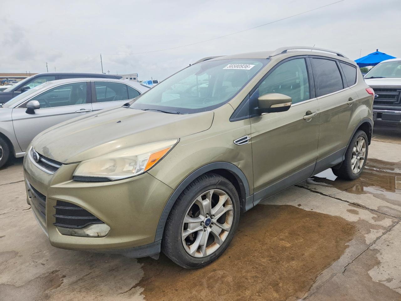 Salvage Ford Escape Image