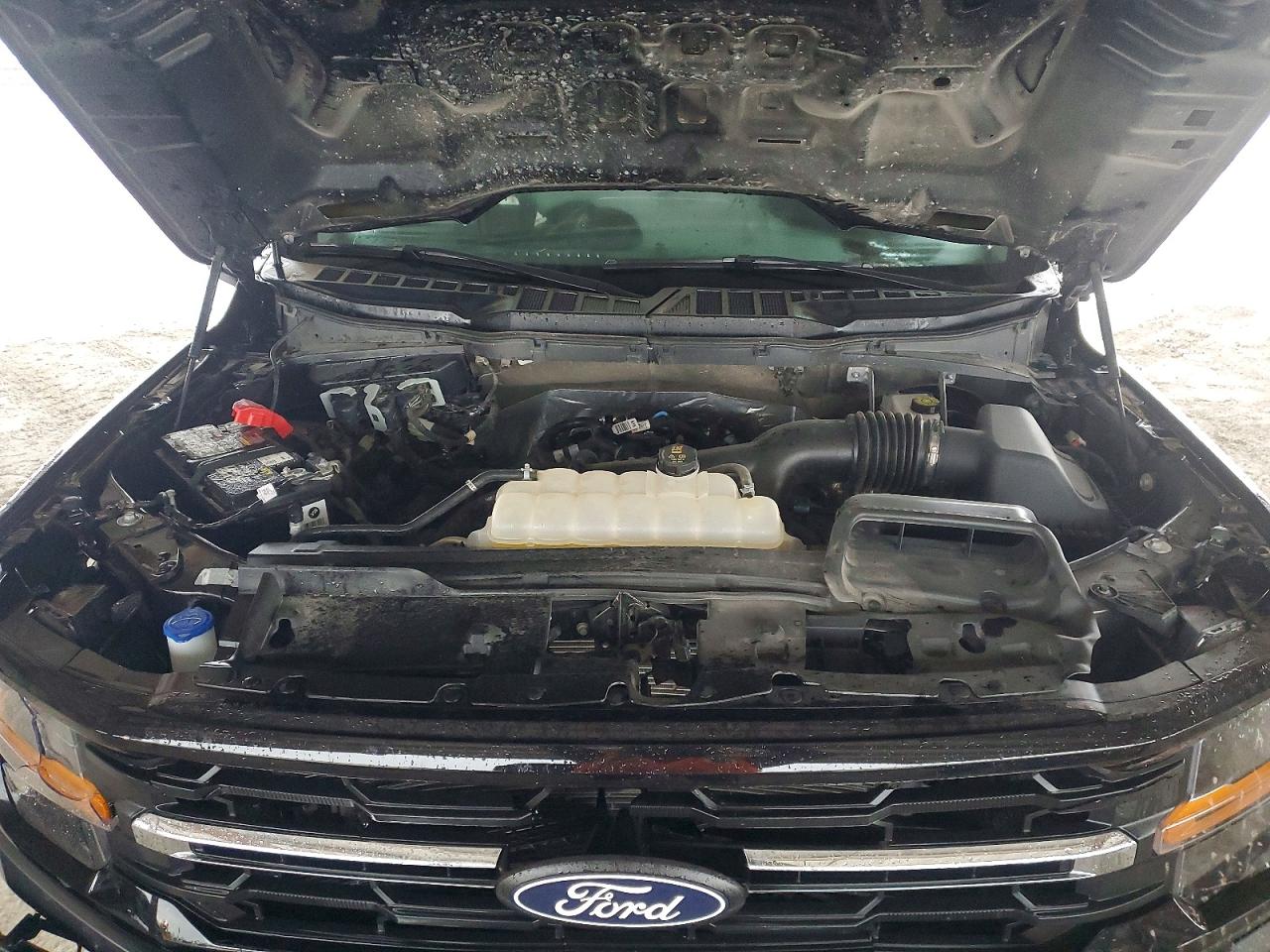 Ford F-150 Xlt
