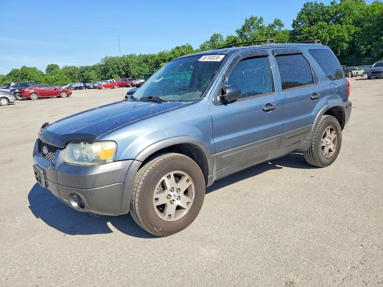 Salvage Ford Escape Image