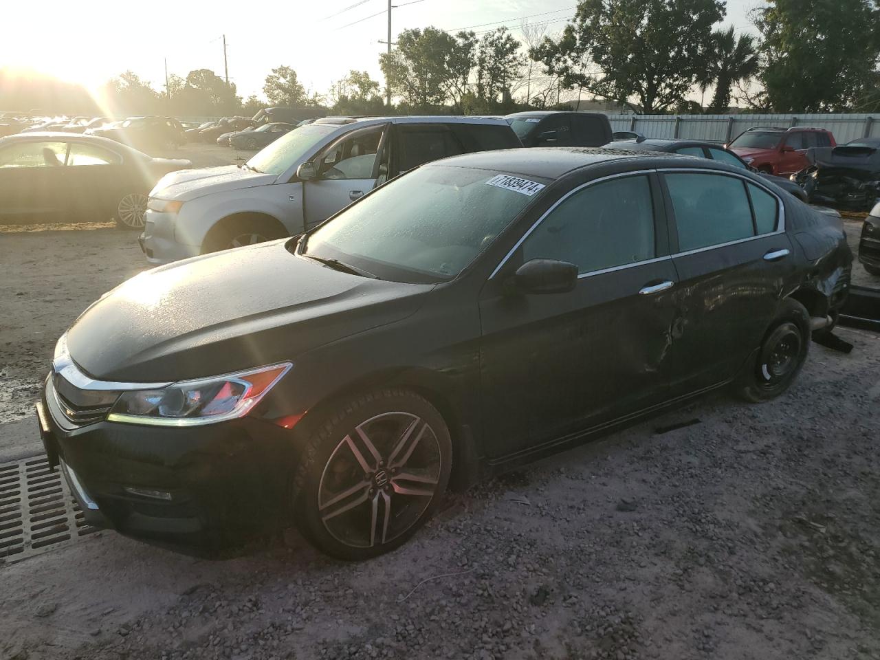 Salvage Honda Accord Image